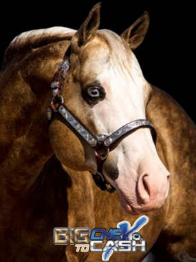 BigChexToCash Höhe 380Pixelmit Logo