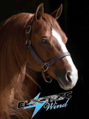 Electric Wind Höhe 380Pixelmit Logo