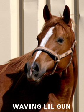 Waving Head Hhe380Pixel mit Name