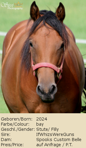 IWWG x Spooks Custom Belle