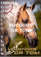 Voodoos Dr Tom mit Frisch Kühlsamen PIN 165 x 229 pix