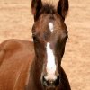 head